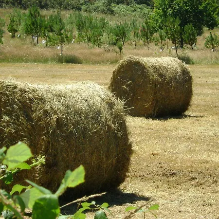 Casa vacanze Stone Fisterra Curtis