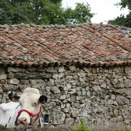 Stone Fisterra Vakantiehuis Curtis