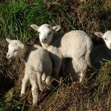 Casa vacanze Stone Fisterra Curtis