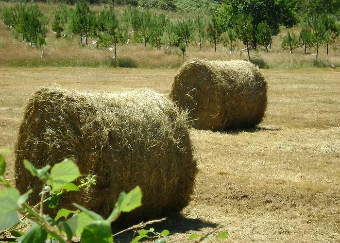Nyaraló Stone Fisterra Curtis