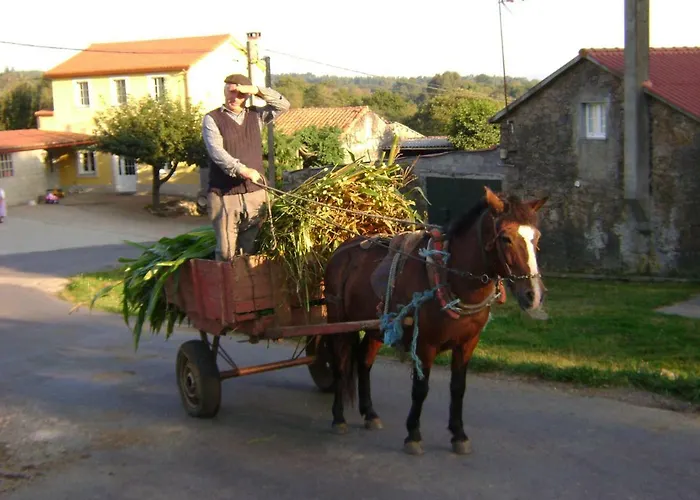 Stone Fisterra Curtis