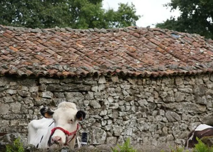 Stone Fisterra Nyaraló Curtis