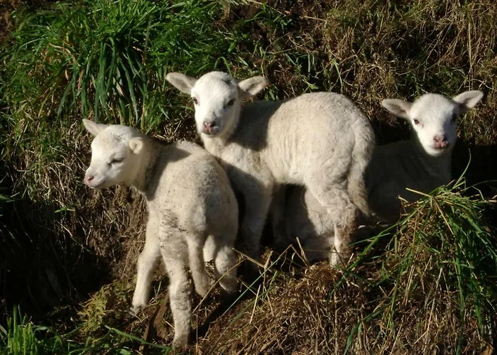 Nyaraló Stone Fisterra Curtis