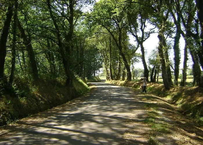 Stone Fisterra Dom wakacyjny Curtis